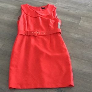 Tahari Collection Belted Dress